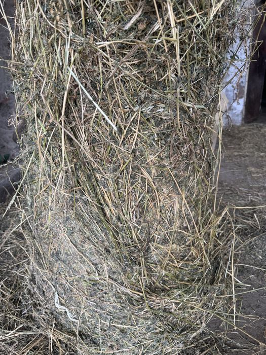 Бали люцерна, овес смески със грах сено