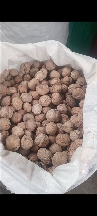 Жаңғақ Грецкий орех Шымкент доставка