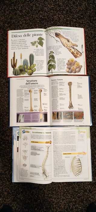 Atlase corpul uman și o enciclopedia în limba italiană