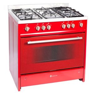 Reparatii aragaze fara flacara la cuptor !