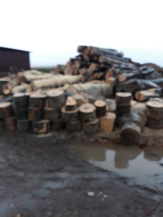 Lemne de foc esență tare de fag.preț.750 lei.tona