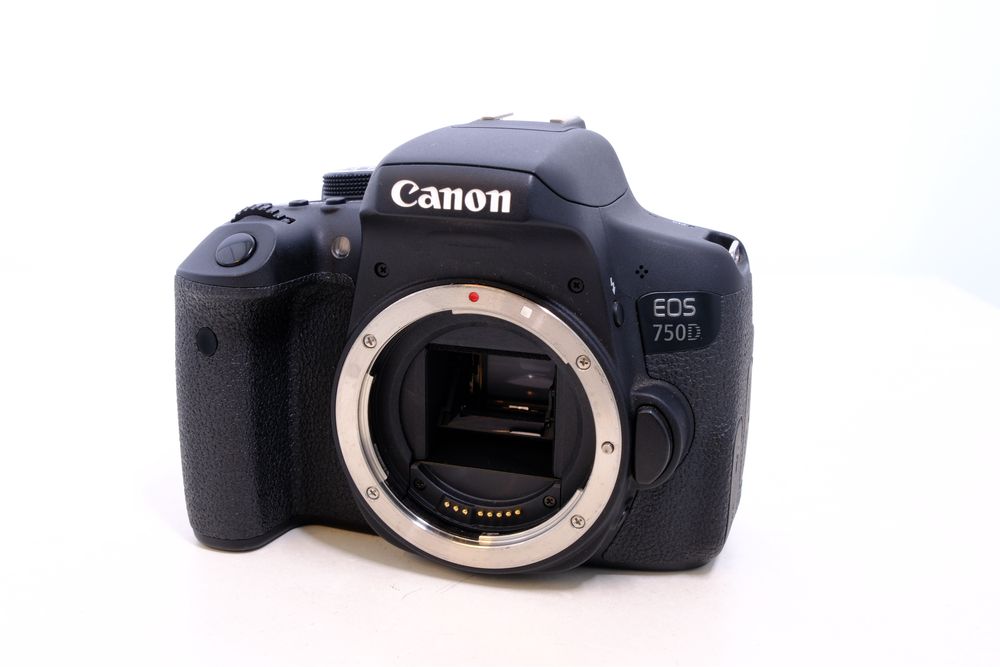 Canon EOS 750D + EF 50mm f/1.8 + EF-S 18-55