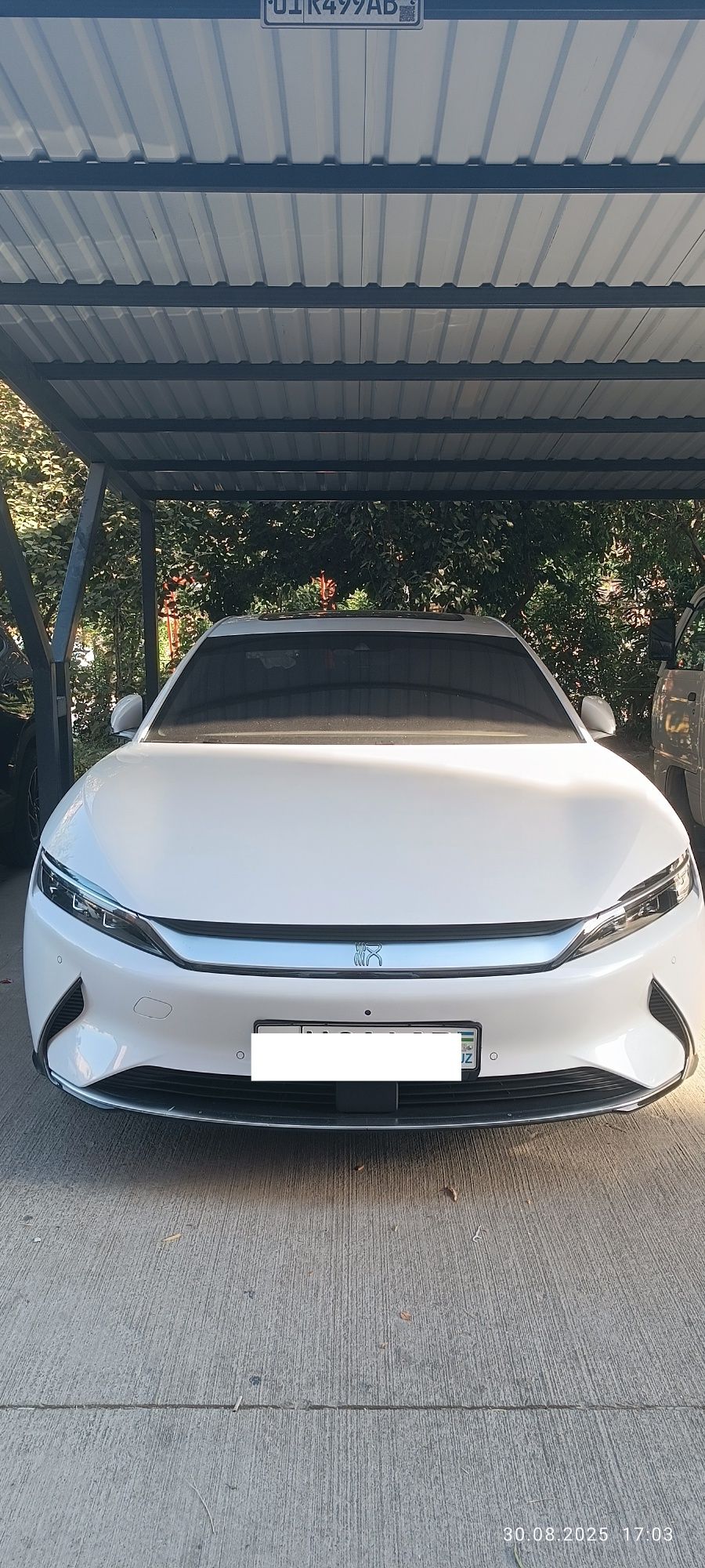 Byd Han 550km  3.9 sec