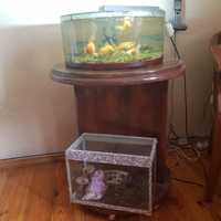 2 аквариума 20 и 14 литров вместе  с рыбками