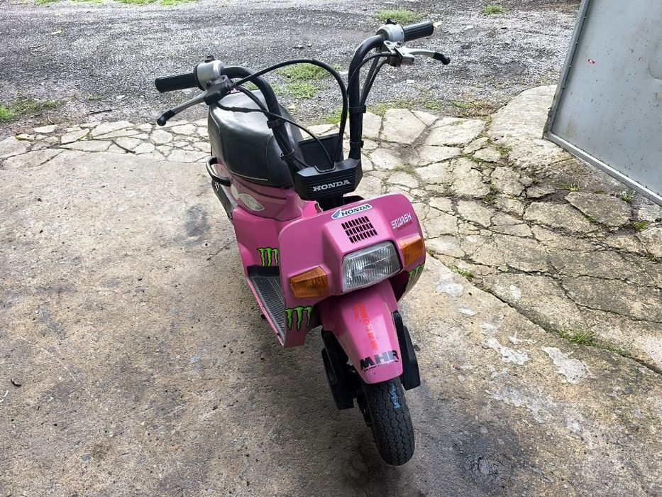 Honda Squash  50