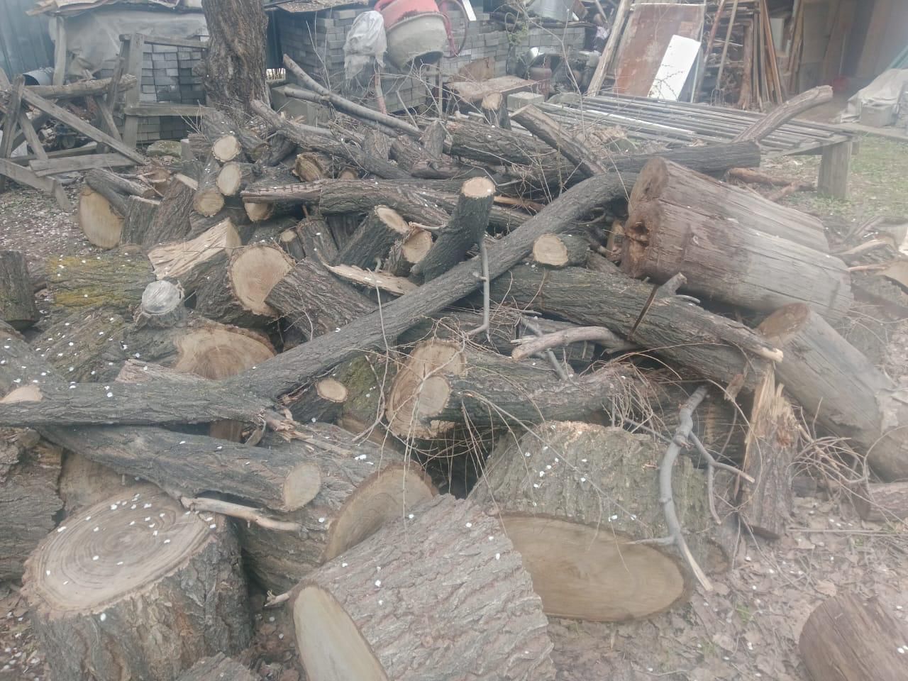 Дерево бесплатно