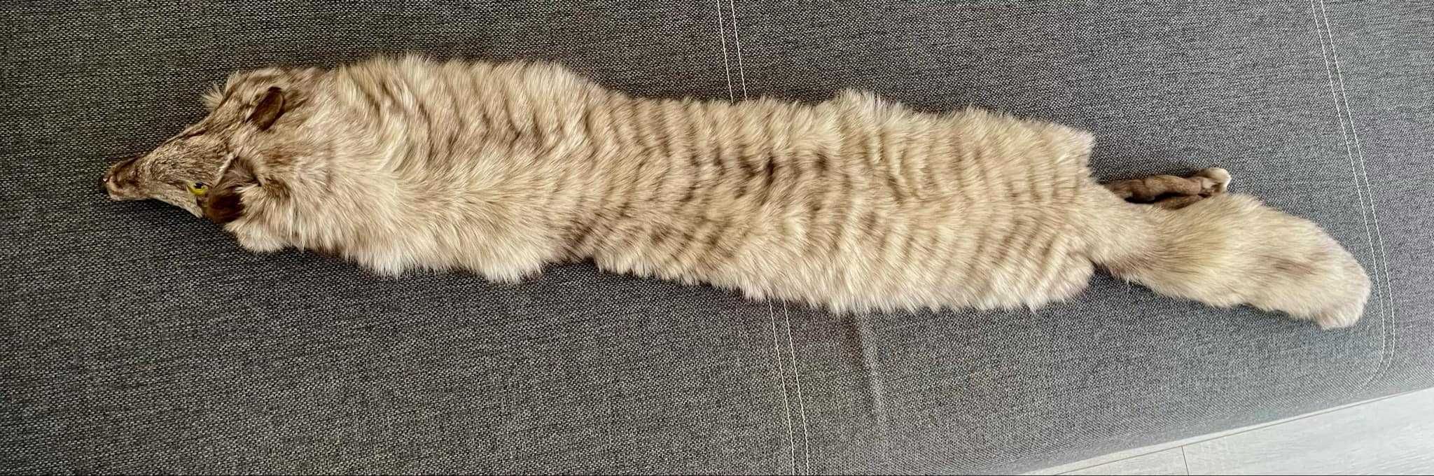 Accesorii blana naturala nurcă, vulpe argintie, lup
