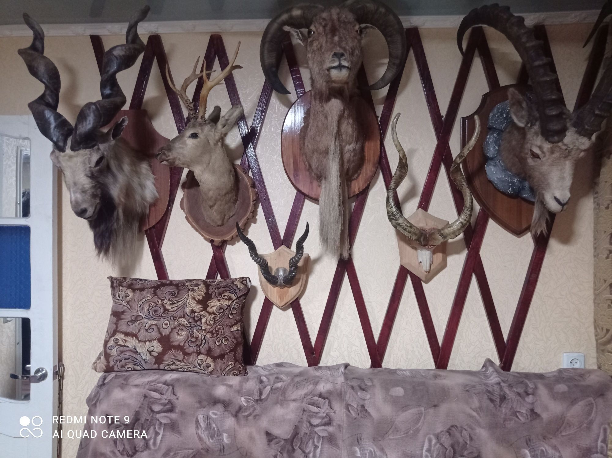 Продаются чучела диких животных