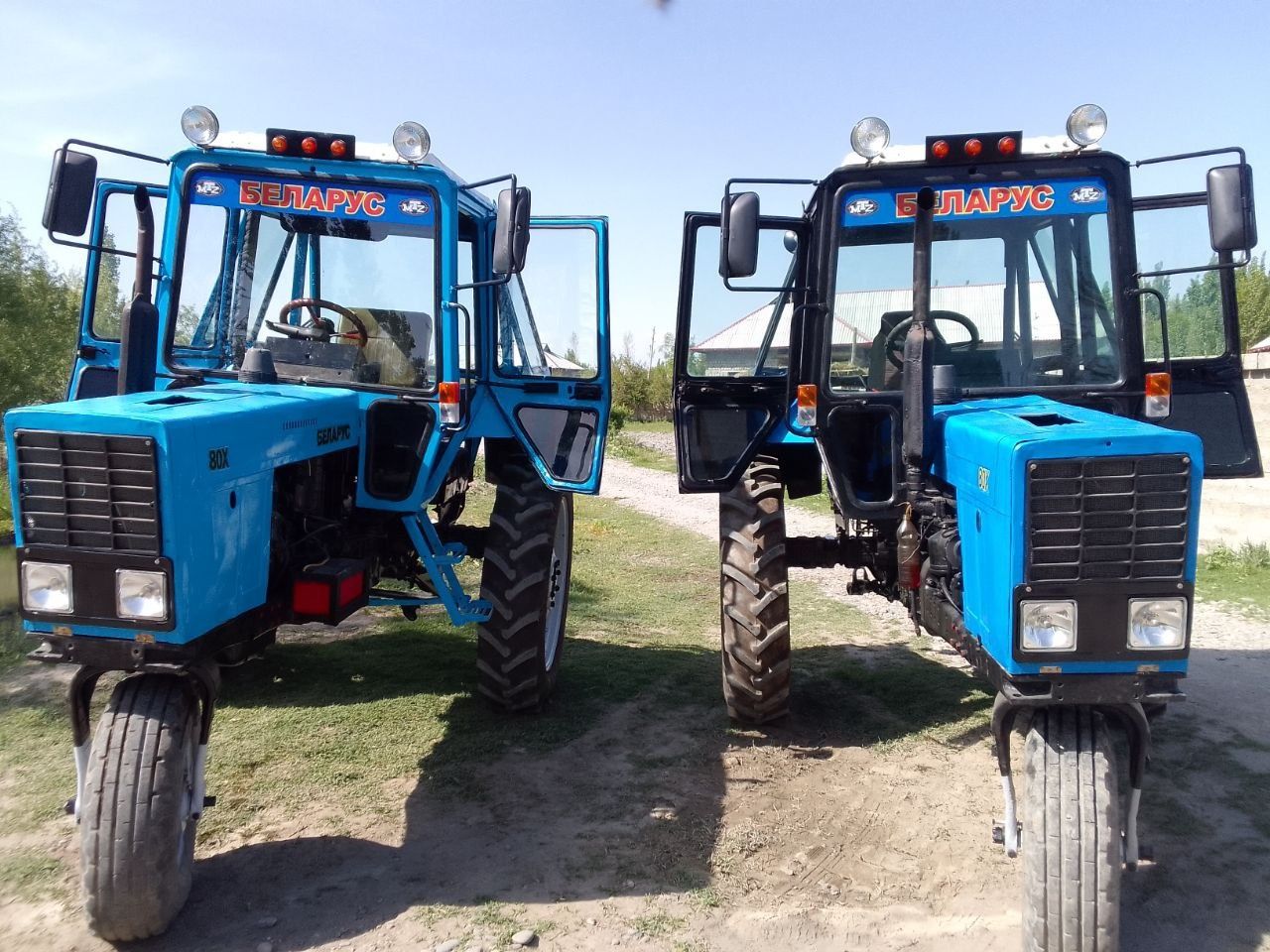 Traktor mtz 80 belarus