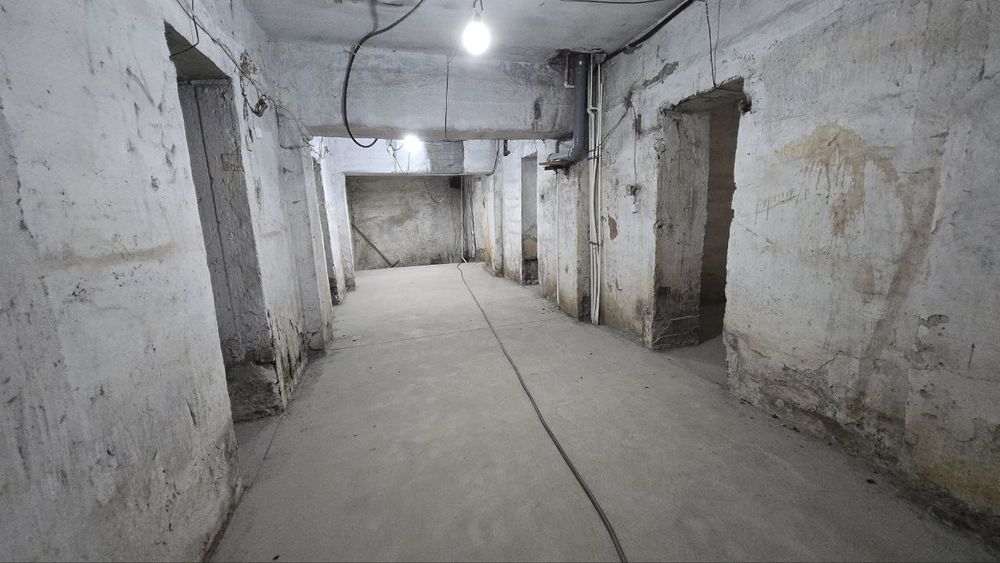 Помещение в центре города под зоогостиницу, хостел, игровой клуб