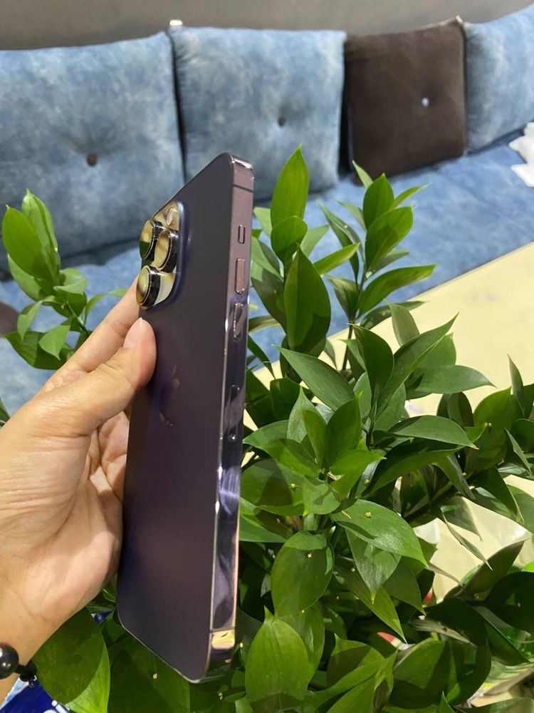 iPhone 14 Pro Max