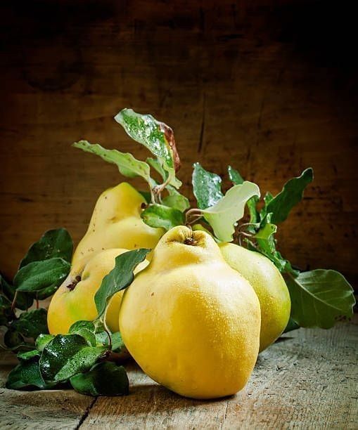 Pomi Stravechi Glia Stramoseasca ( GUTUI )