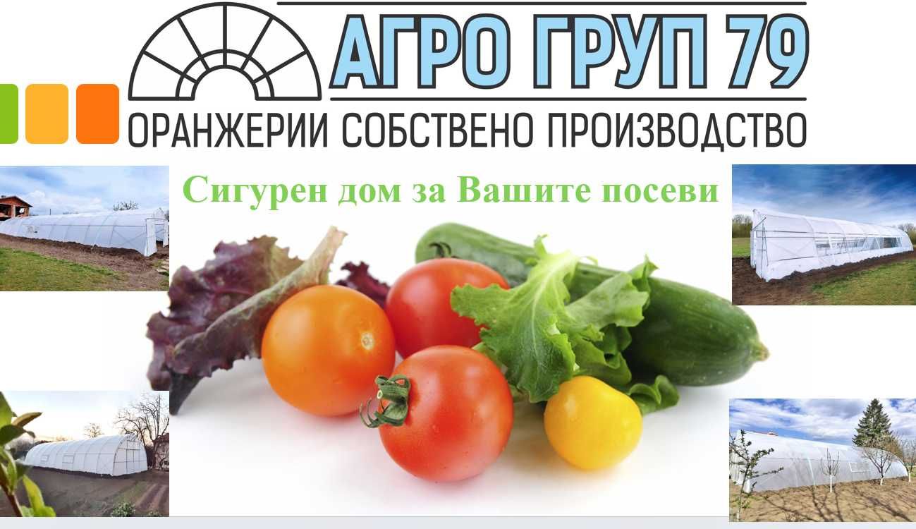 Тунелна прахово боядисана полиетиленова оранжерия