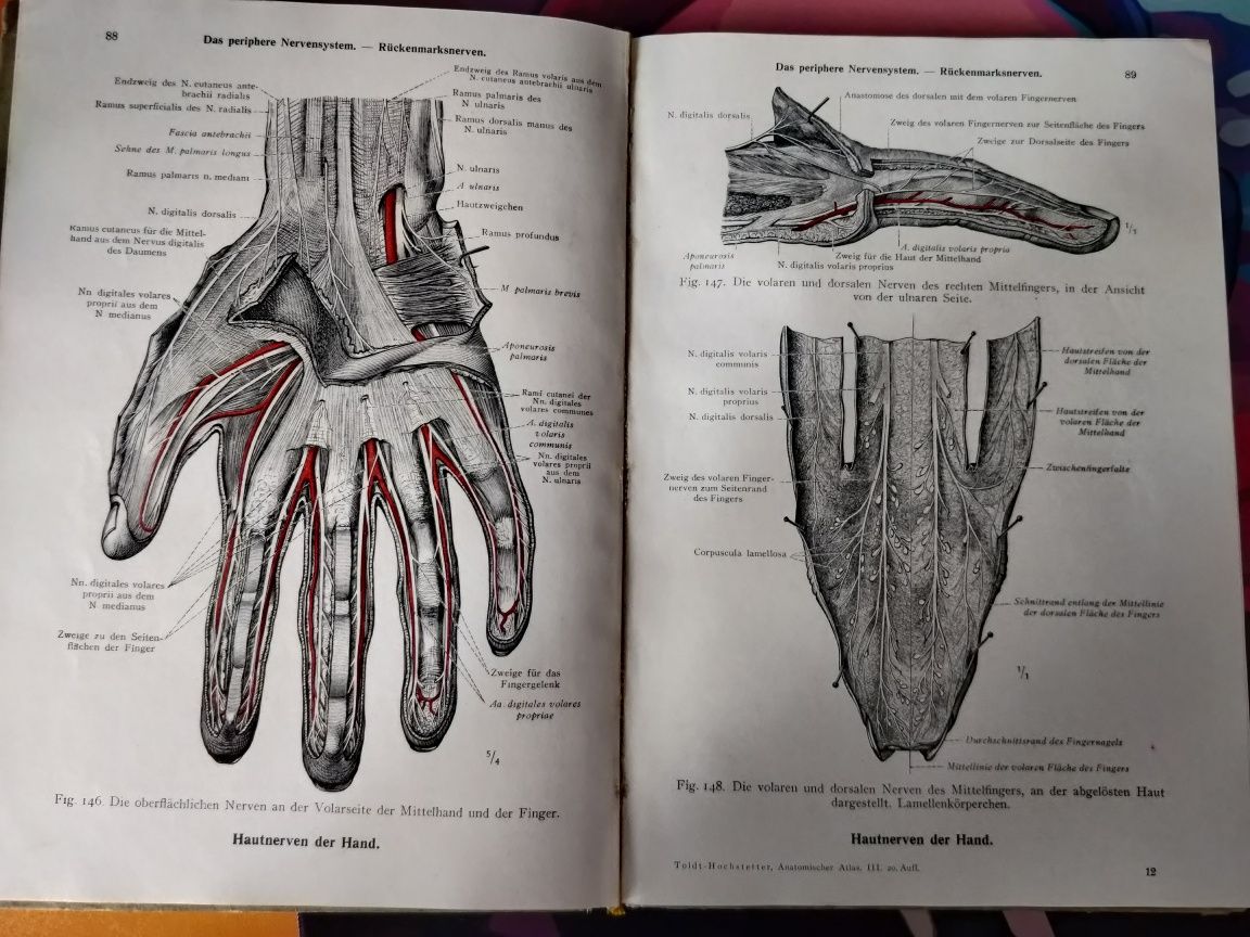 Немски анатомичен атлас книга 1947 Виена