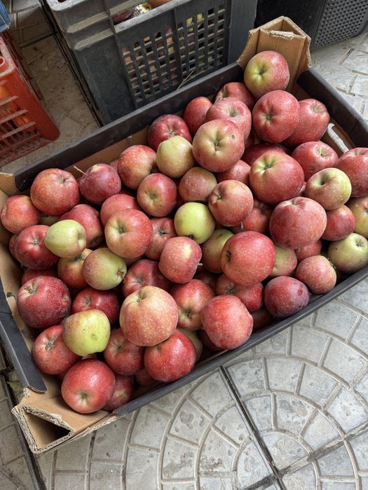 Яблоки натур продукт