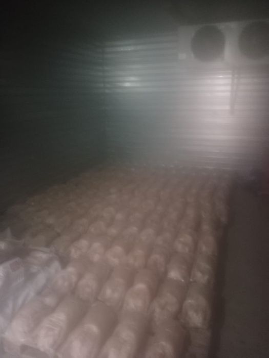 Продам гусей гусей.