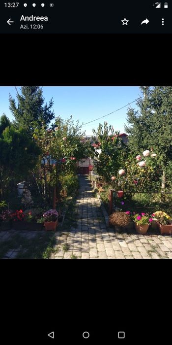 Casă la stradă zonă Bucium Plopii fara soț