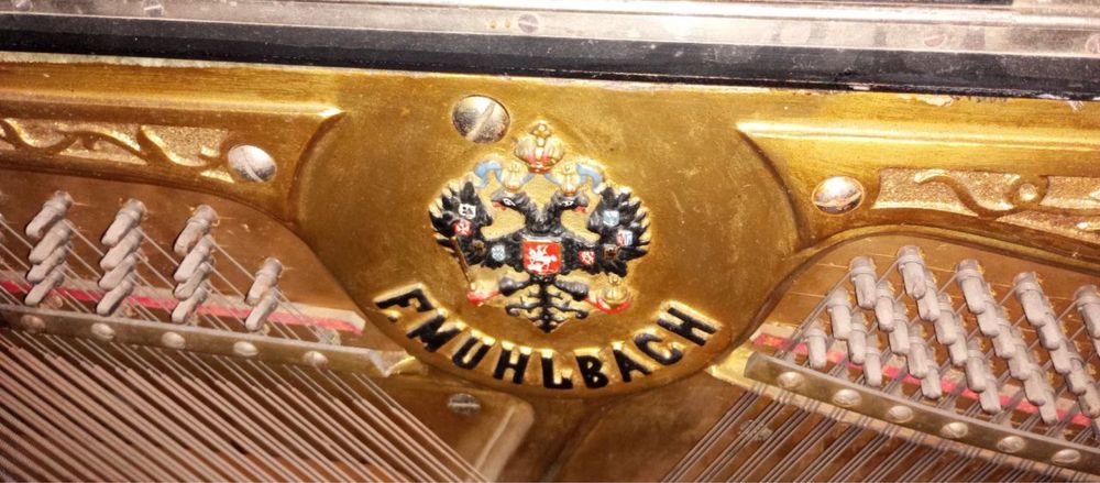 Pieanina qadimgii klaviwii fillii sueagidan qilingan 1898 eil Sank pet