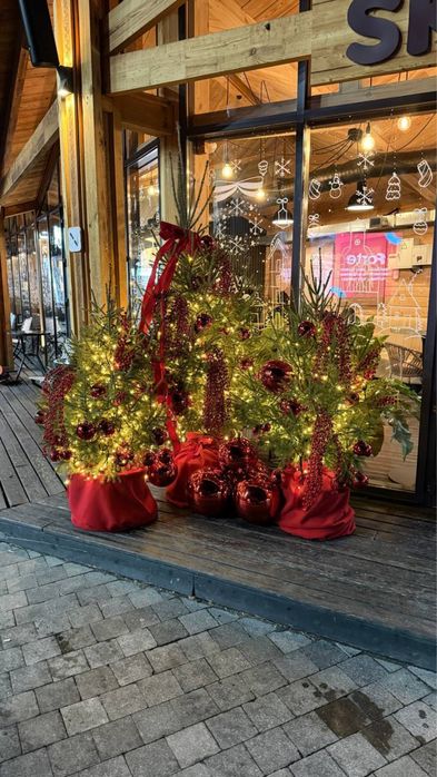 Живая новогодняя елка, елки живые, доставка, ель новогодняя, купить