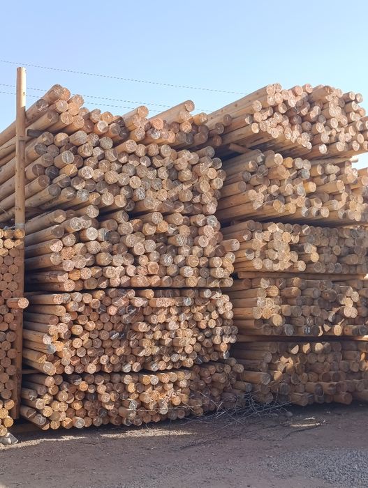 Оптом/дона тахта, турли хил размер, арзон нархрларда, доставка мавжуд!