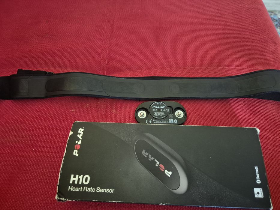 Centura puls Polar H10