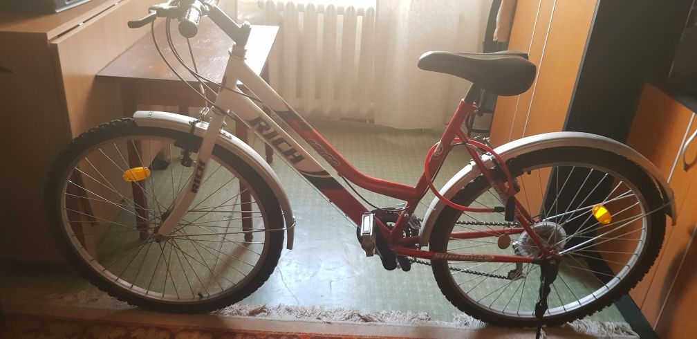 Bicicleta normal