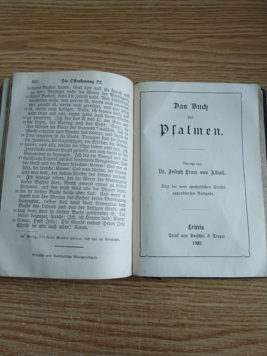 Biblie Germania 1925