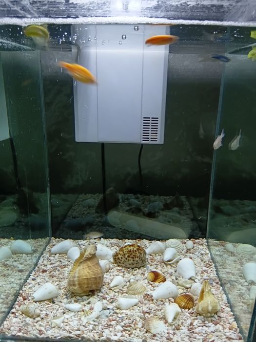 Аквариум 35 литрлик