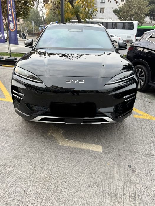 BYD Chempion smart 2025/26