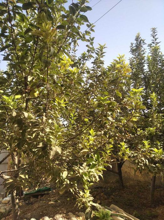 Продается Коттедж