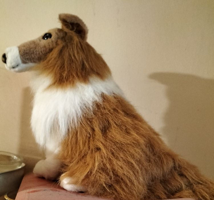 Collie scoțian pluș