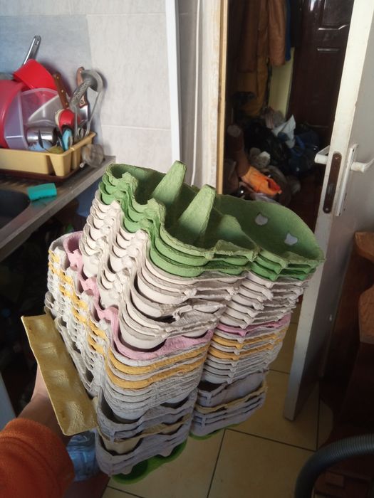 Vand cartoane de oua.30 de 10 locuri si 11 de 6 locuri.1 leu buc.Ploie