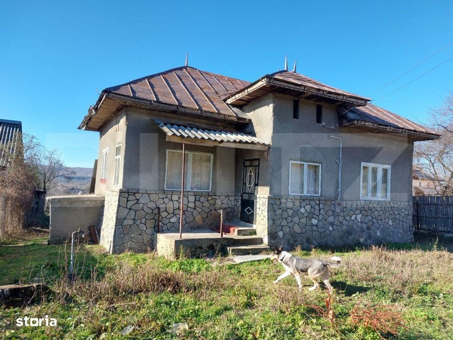 Voinesti Casa batraneasca, de vanzare, 70 mp