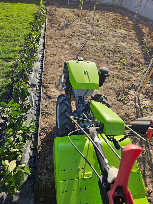 Îngrijire gazon, scarificare, aerare, însămânțare, irigații #Gardenix