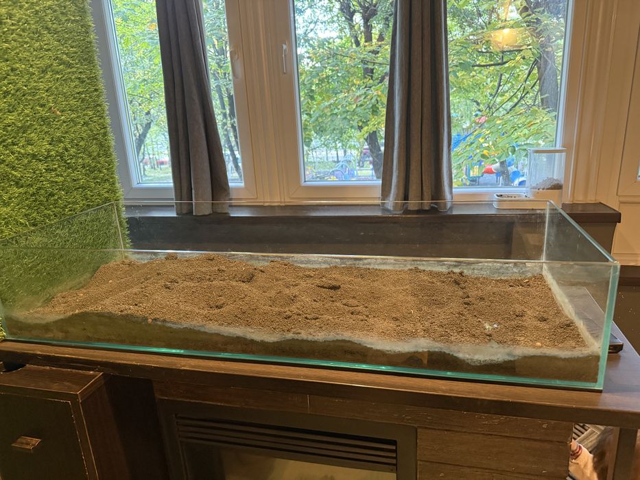 Acvariu pentru pesti