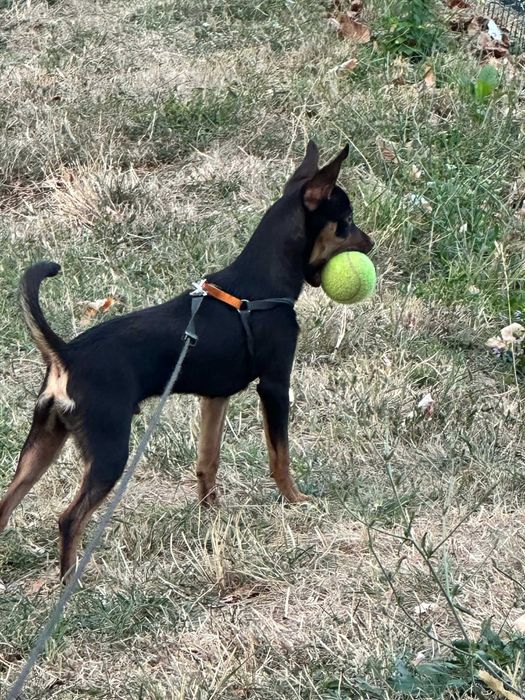 Подарено е вече.