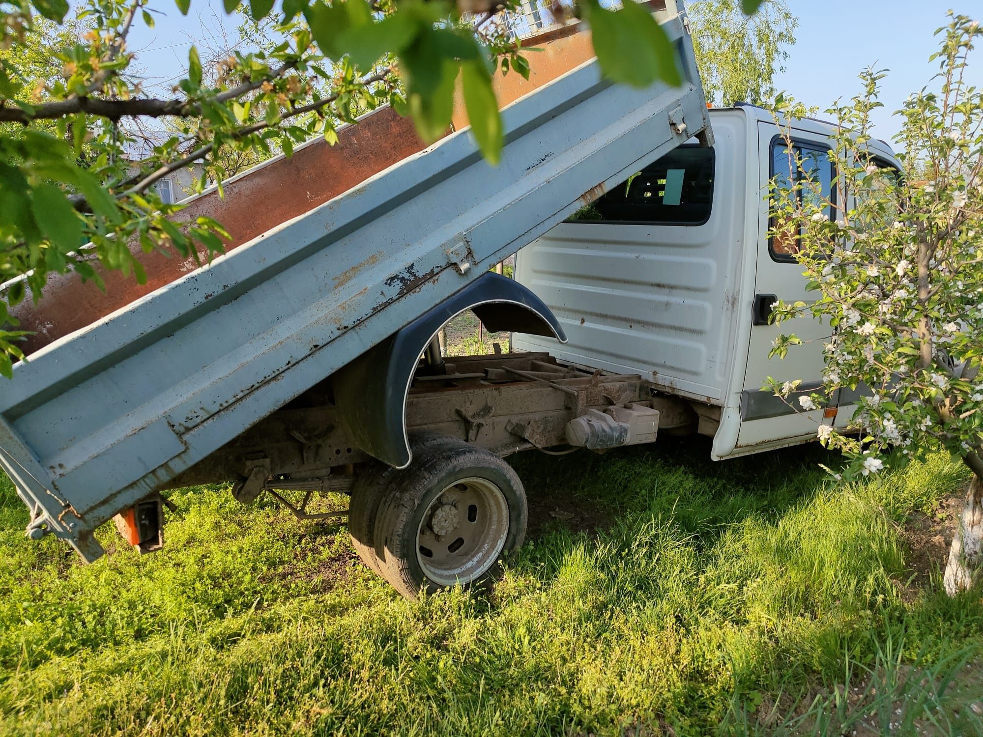 IVECO DAILY Basculabil