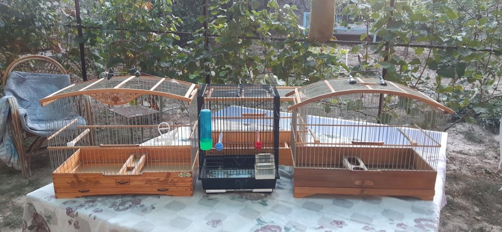 Кафаслар 4 дона зор ахволда