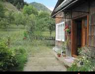 Teren +  Casa + Anexe; Borșa - Maramureș (zona Rotundu)  4.331 mp