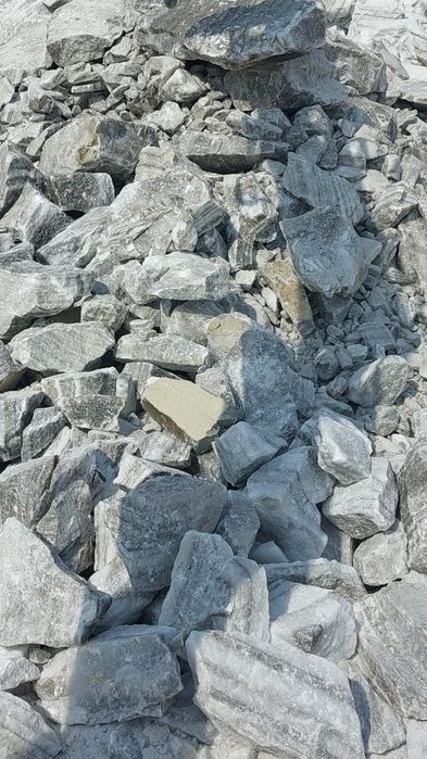 Sare bulgar pt animale