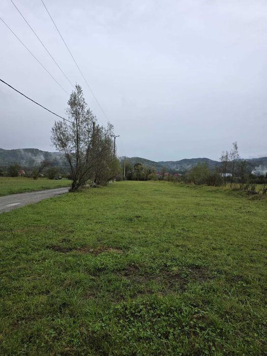 Teren Viseu de Sus