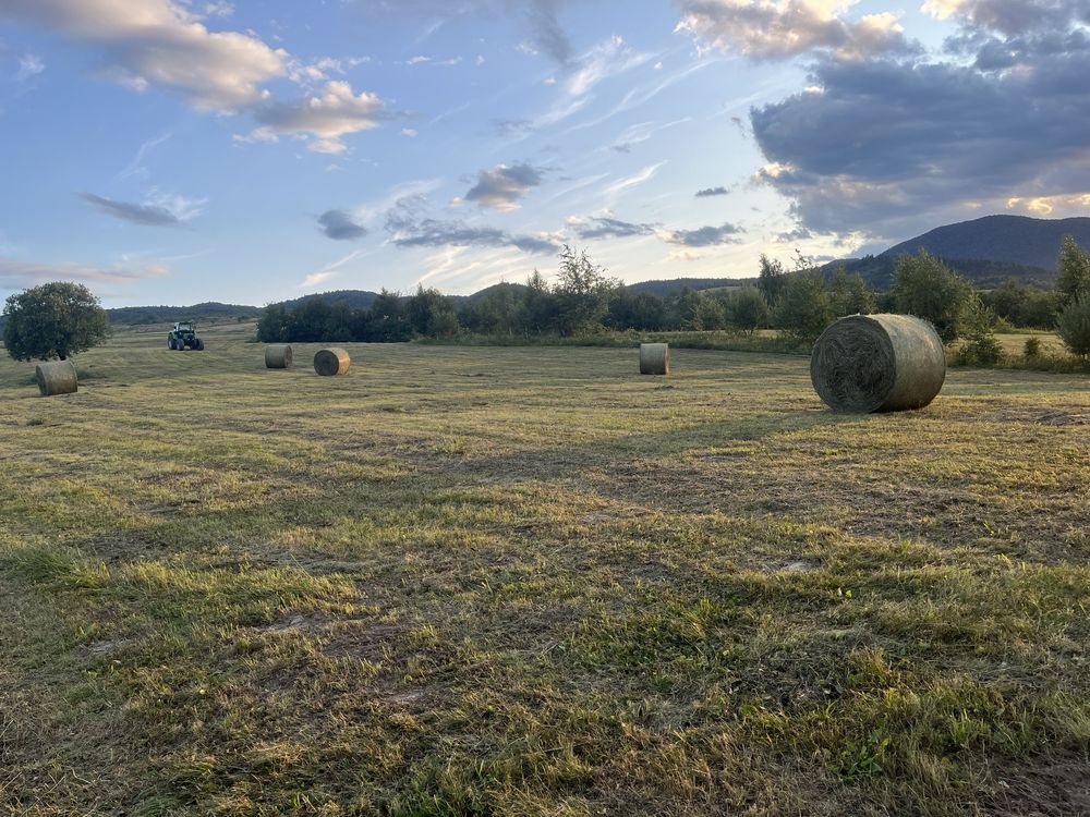 Baloți rotunzi fân pe plasă