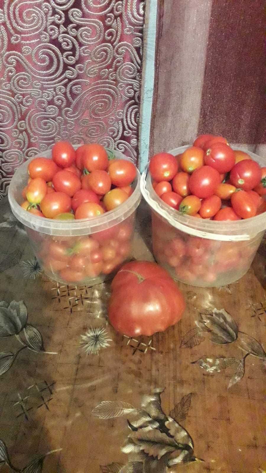 Саленые огурцы домашние