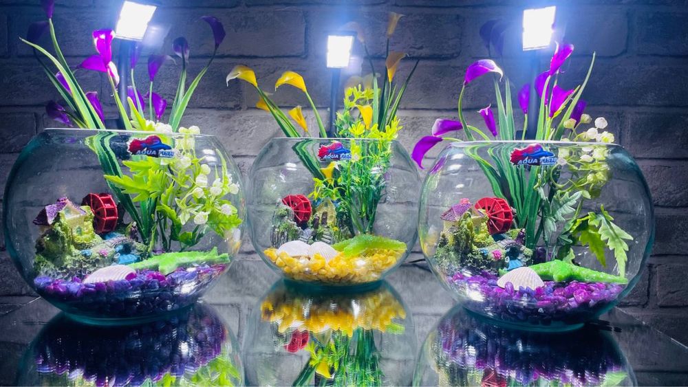 Декоративный аквариум с рыбками, круглой формы, объёмом 2 литра.