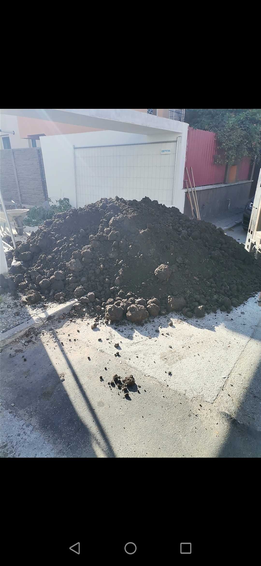 Pamant galben nisipos si pamant negru vegetal