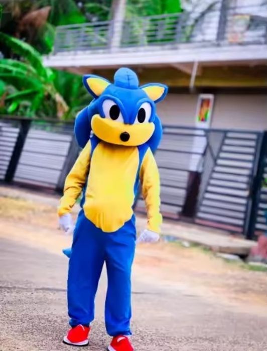Costum Sonic și alte personaje populare din desene animate