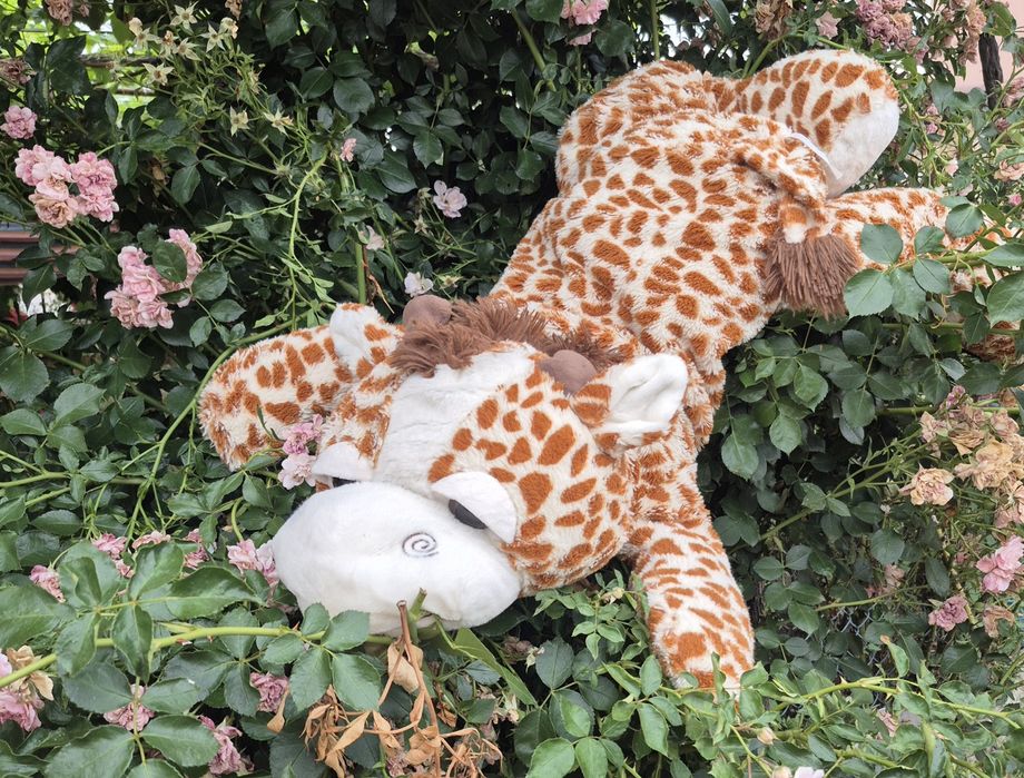 Играчки 10 лв.бр