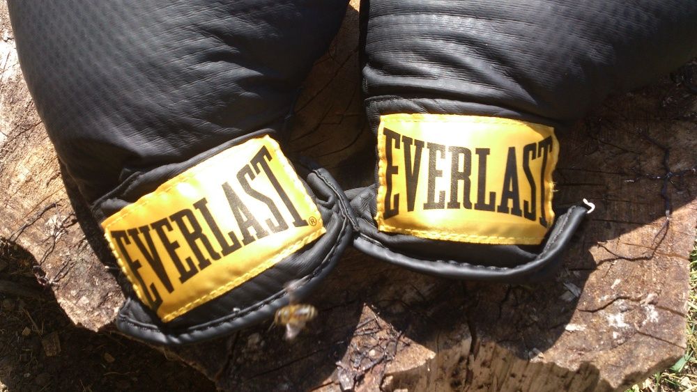 Боксови ръкавици Everlast Tn:Y
