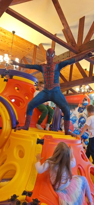 Mascote petreceri copii, dar si alte organizari