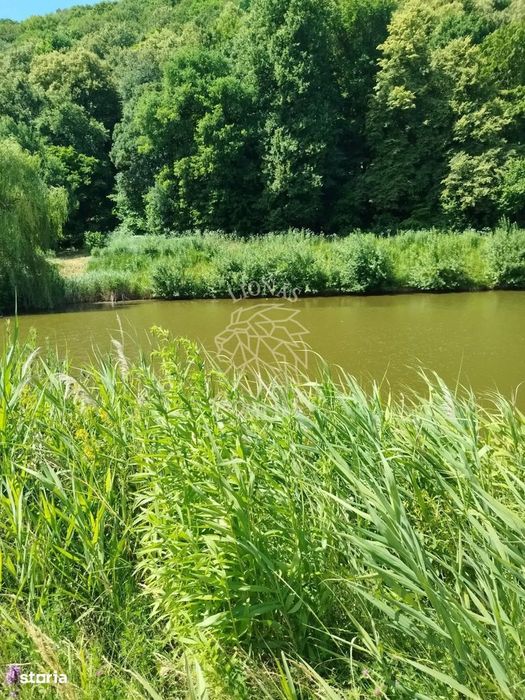 Teren 900 mp cu cota Lac-ideal pescuit, agrement, cabana- Saratel